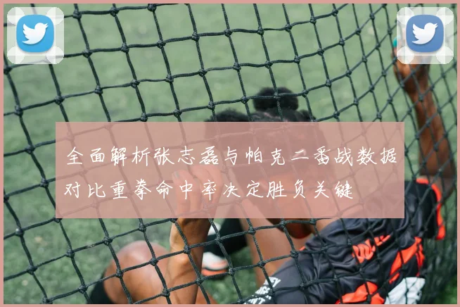 全面解析张志磊与帕克二番战数据对比重拳命中率决定胜负关键