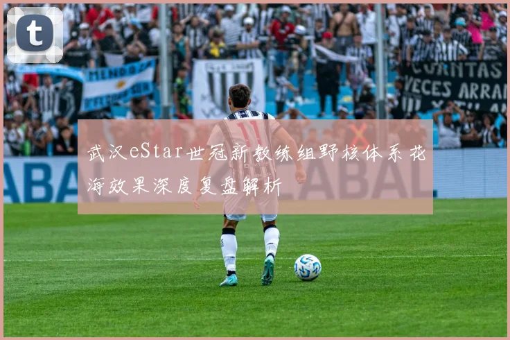 武汉eStar世冠新教练组野核体系花海效果深度复盘解析